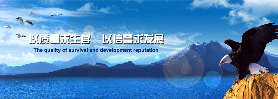 門戶型網(wǎng)站案例